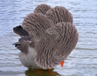 https://www.studiodaubal.com:443/files/gimgs/th-153_oie f.jpg